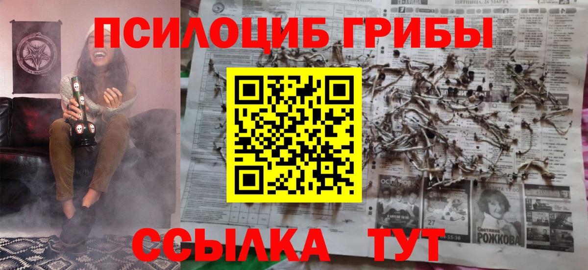 Галлюциногенные грибы мухоморы  Галлюциногенные грибы Psilocybine cubensis  Знаменск 