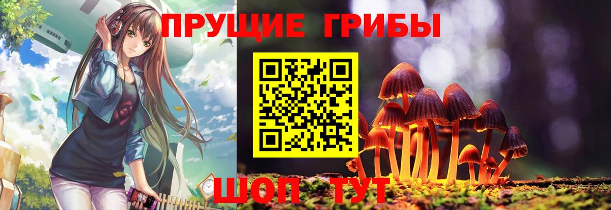 Знаменск  Псилоцибиновые грибы прущие грибы  Вход с VPN 